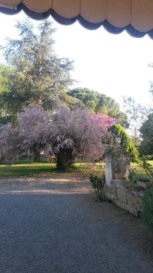 מלון Nérigean Domaine Mongiron מראה חיצוני תמונה