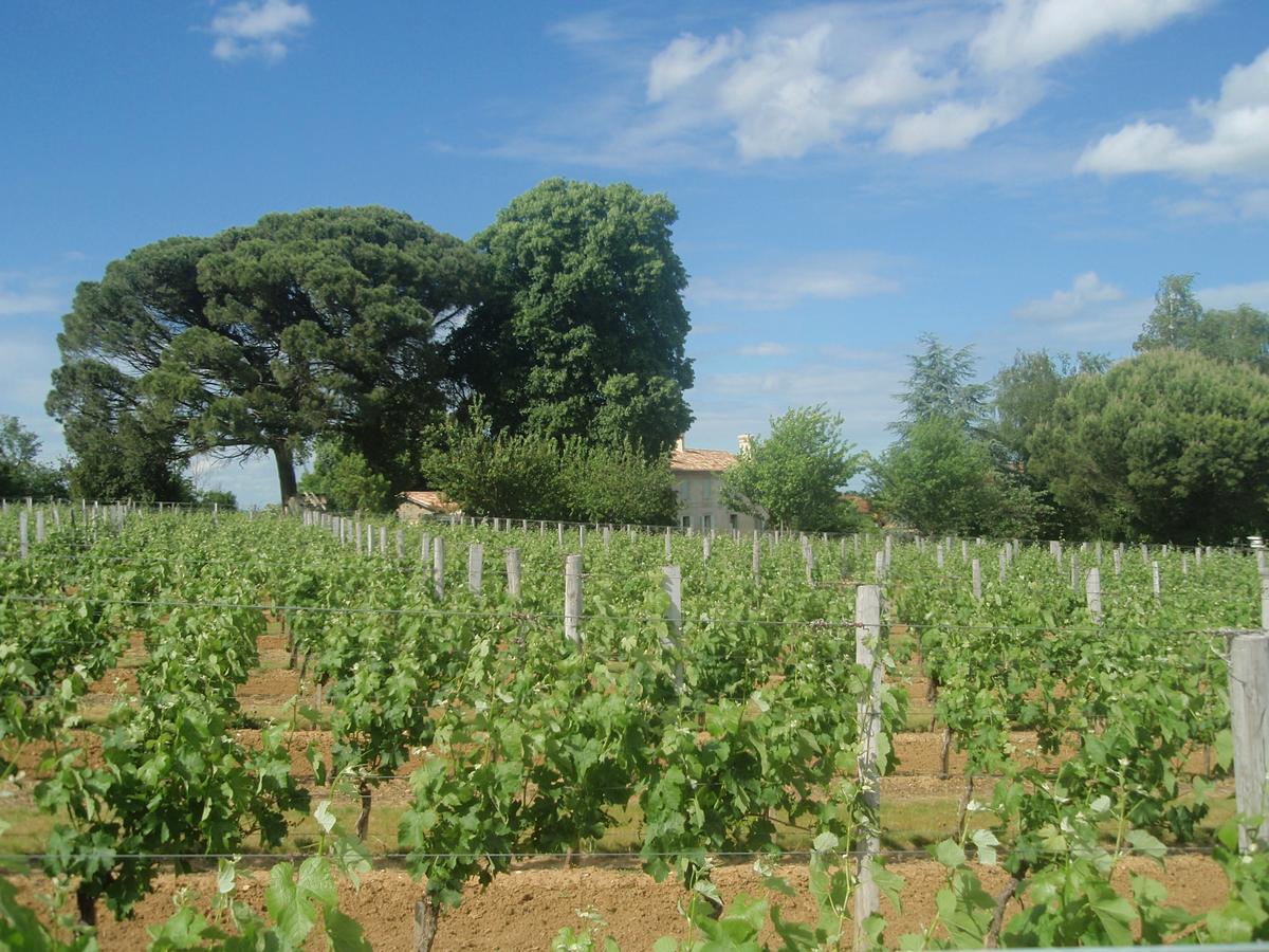 מלון Nérigean Domaine Mongiron מראה חיצוני תמונה